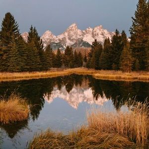 Meet your Posher, Josie